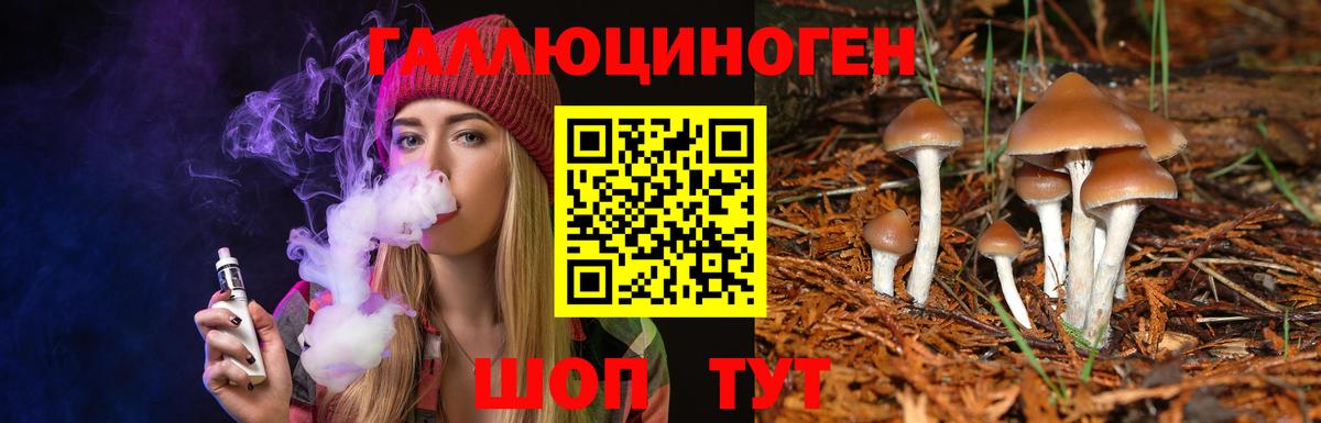 Псилоцибиновые грибы MAGIC MUSHROOMS Тельмана